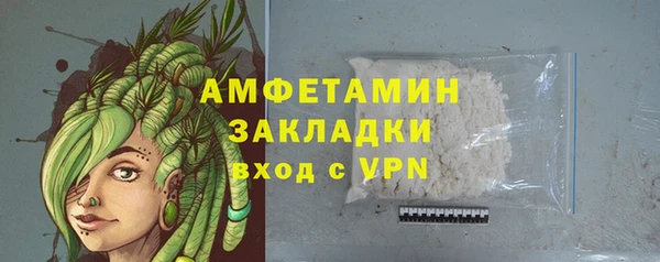 прущие грибы Белокуриха