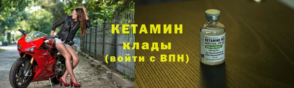 прущие грибы Белокуриха