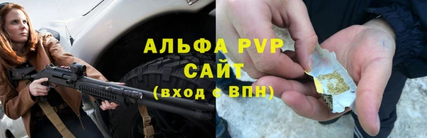 прущие грибы Белокуриха