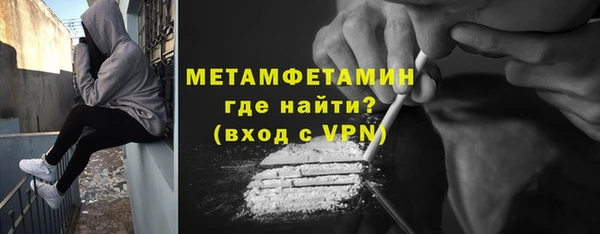 прущие грибы Белокуриха