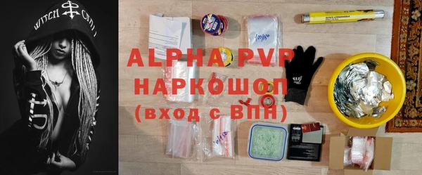 прущие грибы Белокуриха