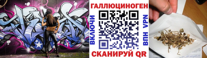 Купить где  Магас  Псилоцибиновые грибы Magic Shrooms 
