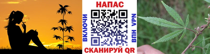 Шишки марихуана Bruce Banner  Купить  Магас 